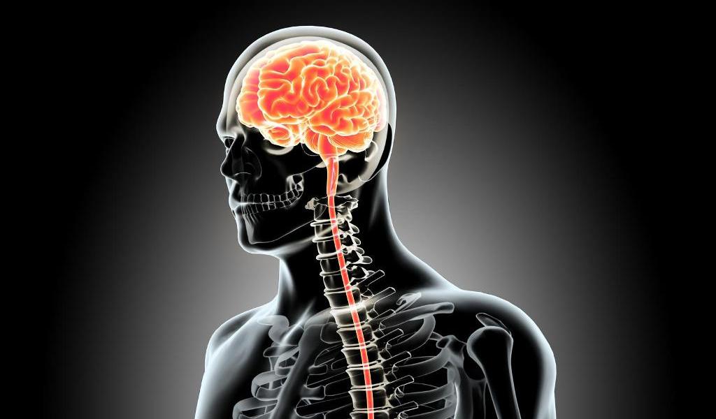 neuroradiology-imaging-services